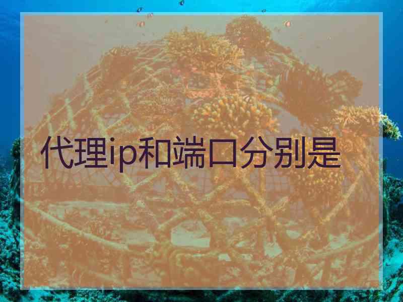代理ip和端口分别是