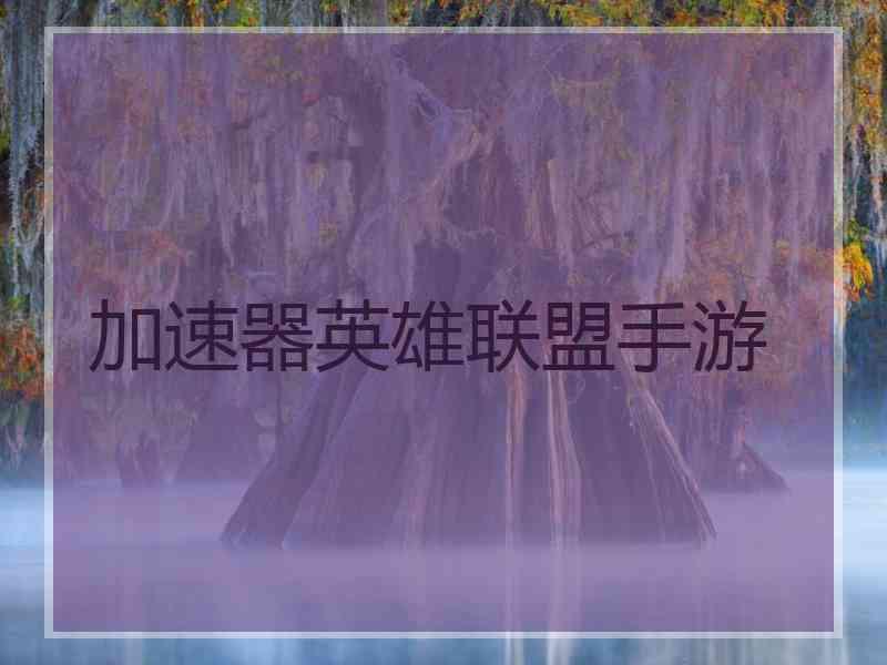 加速器英雄联盟手游