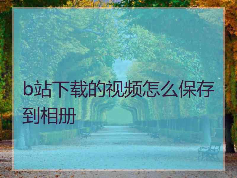 b站下载的视频怎么保存到相册