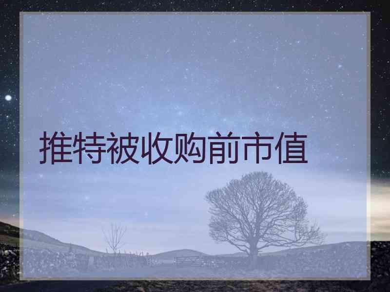 推特被收购前市值