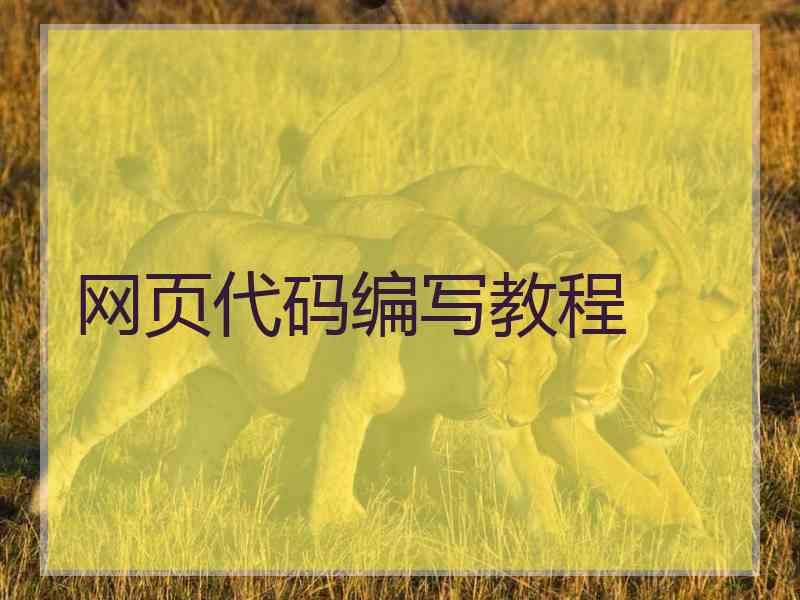 网页代码编写教程