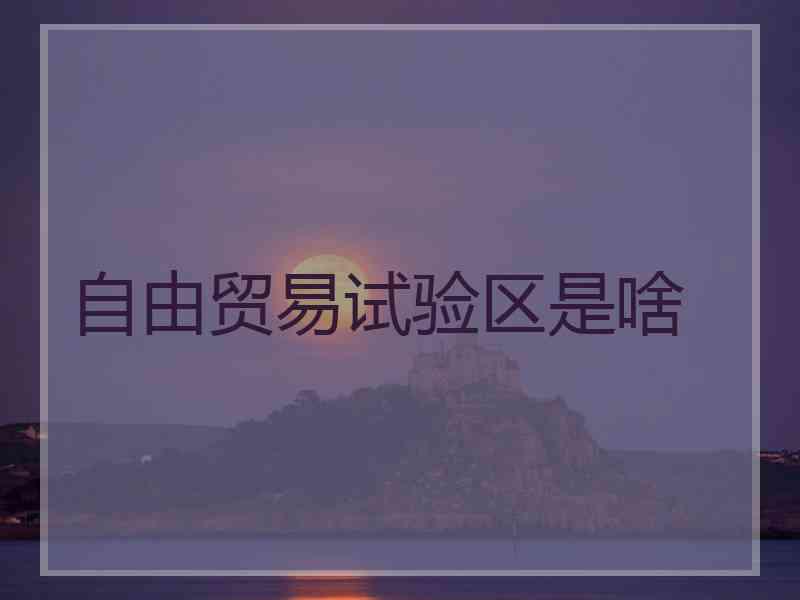 自由贸易试验区是啥