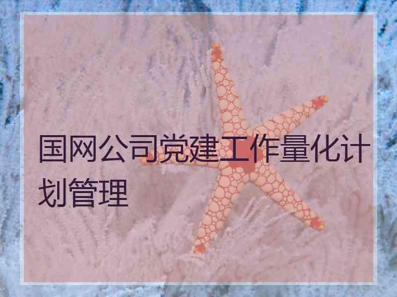 国网公司党建工作量化计划管理