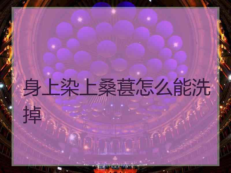 身上染上桑葚怎么能洗掉