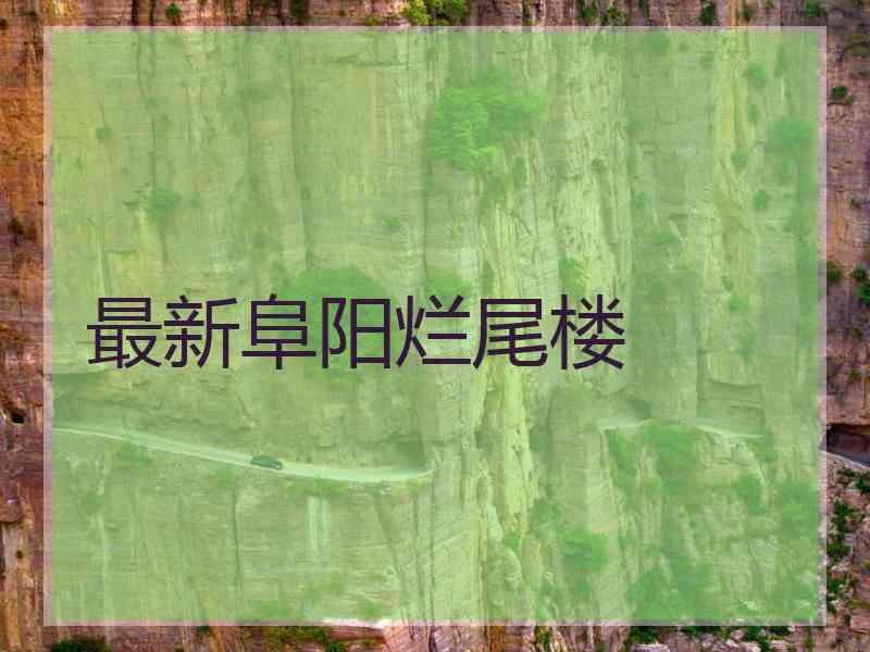 最新阜阳烂尾楼