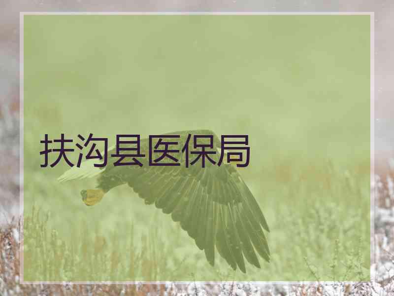 扶沟县医保局