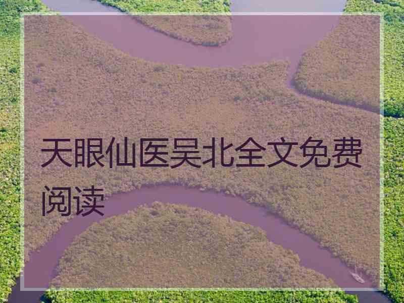天眼仙医吴北全文免费阅读