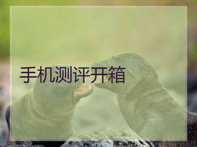 手机测评开箱