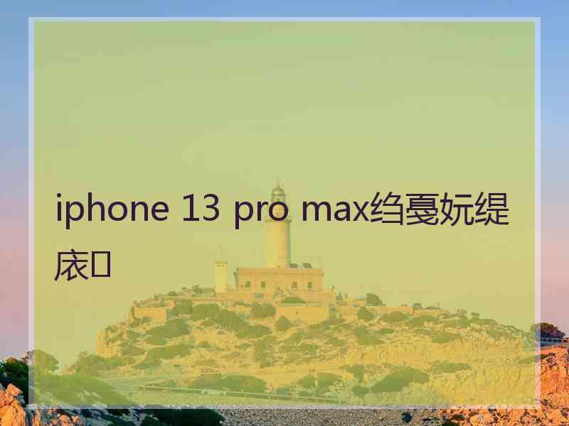 iphone 13 pro max绉戞妧缇庡
