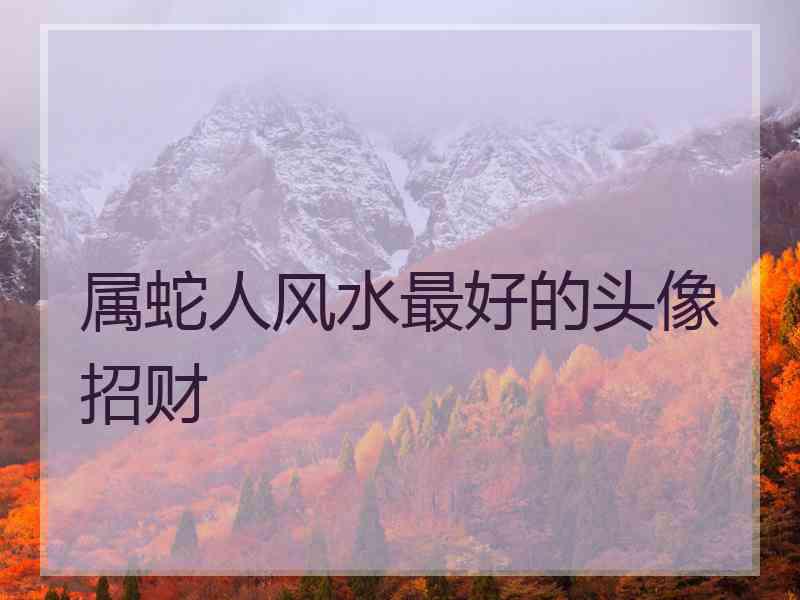 属蛇人风水最好的头像招财
