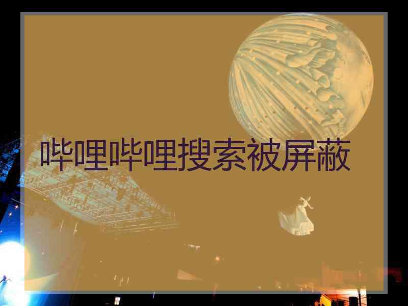 哔哩哔哩搜索被屏蔽