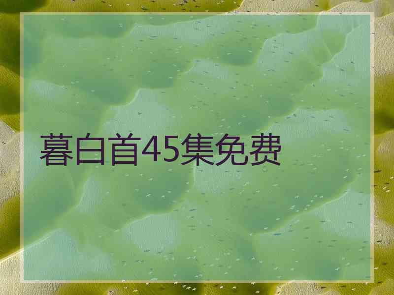 暮白首45集免费