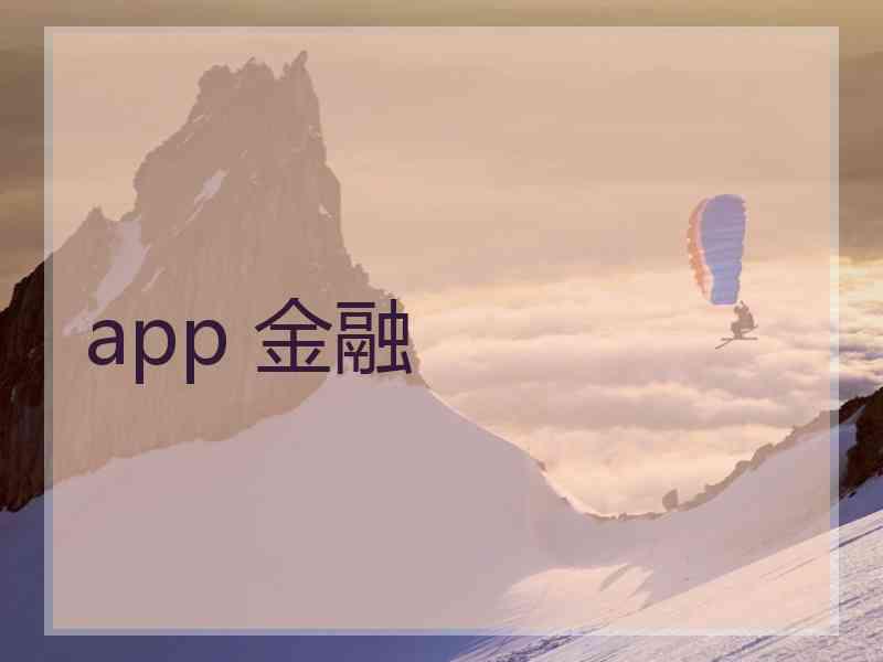 app 金融