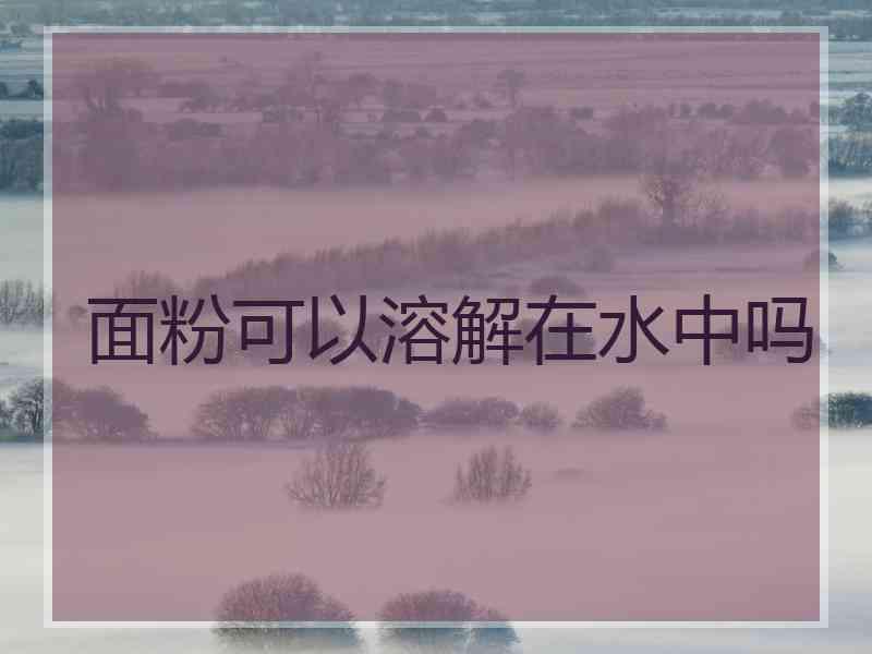 面粉可以溶解在水中吗