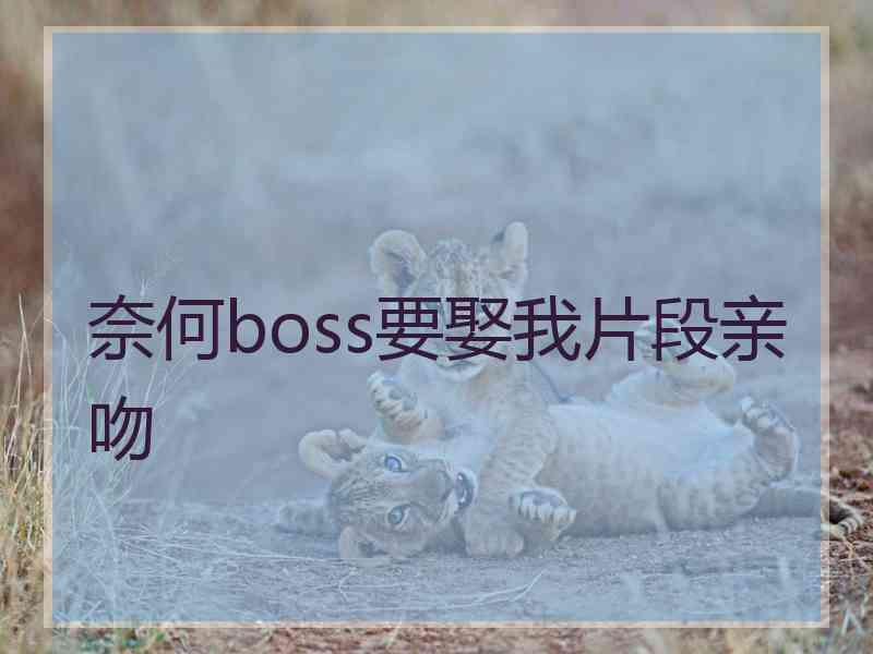 奈何boss要娶我片段亲吻