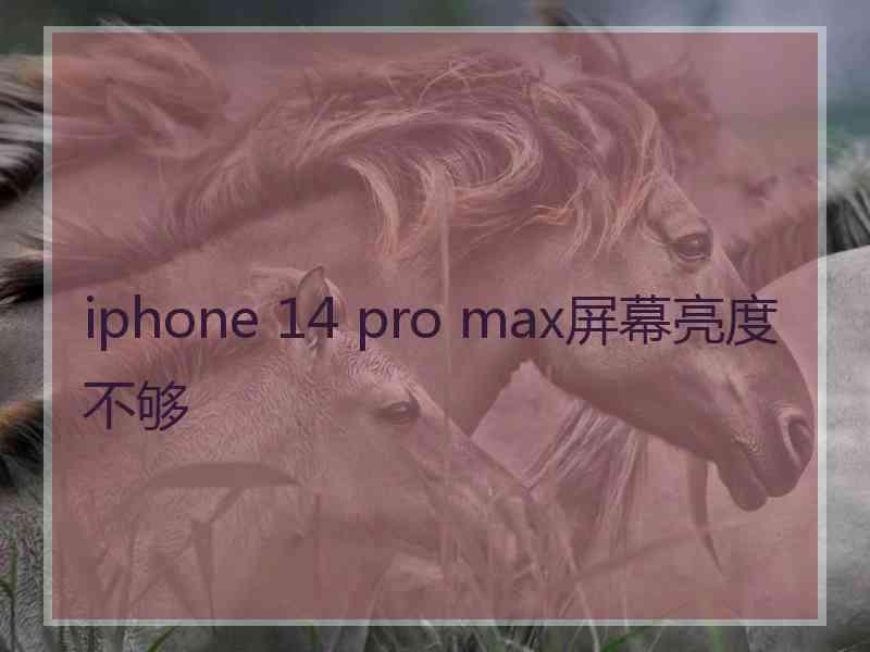 iphone 14 pro max屏幕亮度不够