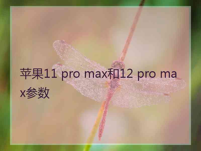 苹果11 pro max和12 pro max参数