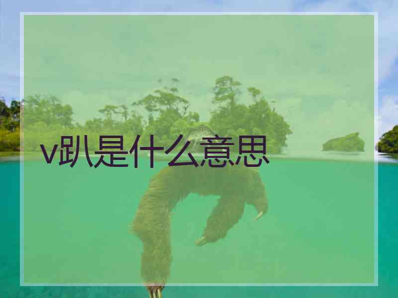 v趴是什么意思
