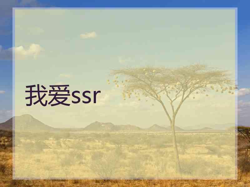 我爱ssr