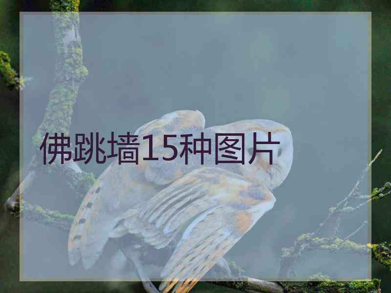 佛跳墙15种图片