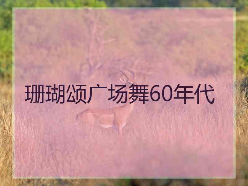 珊瑚颂广场舞60年代