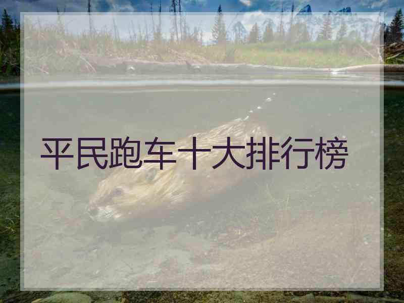 平民跑车十大排行榜