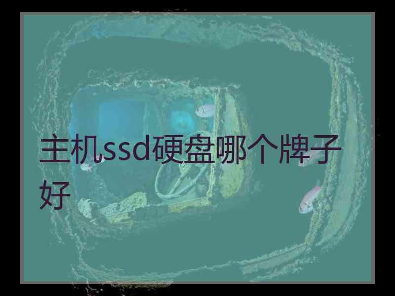 主机ssd硬盘哪个牌子好
