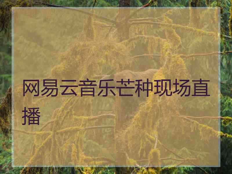 网易云音乐芒种现场直播