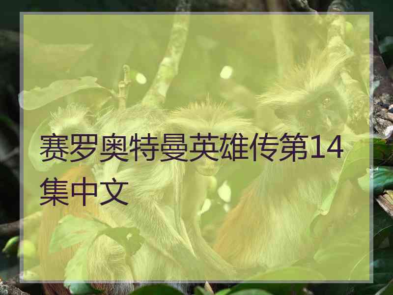 赛罗奥特曼英雄传第14集中文