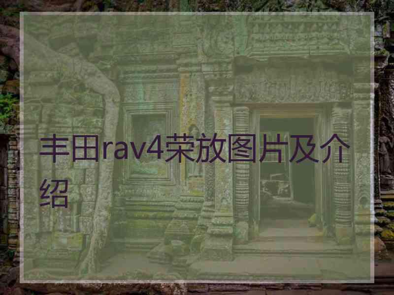 丰田rav4荣放图片及介绍