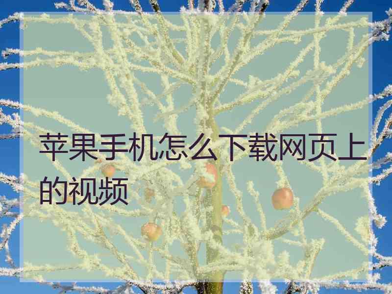 苹果手机怎么下载网页上的视频