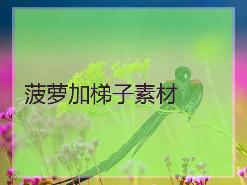 菠萝加梯子素材