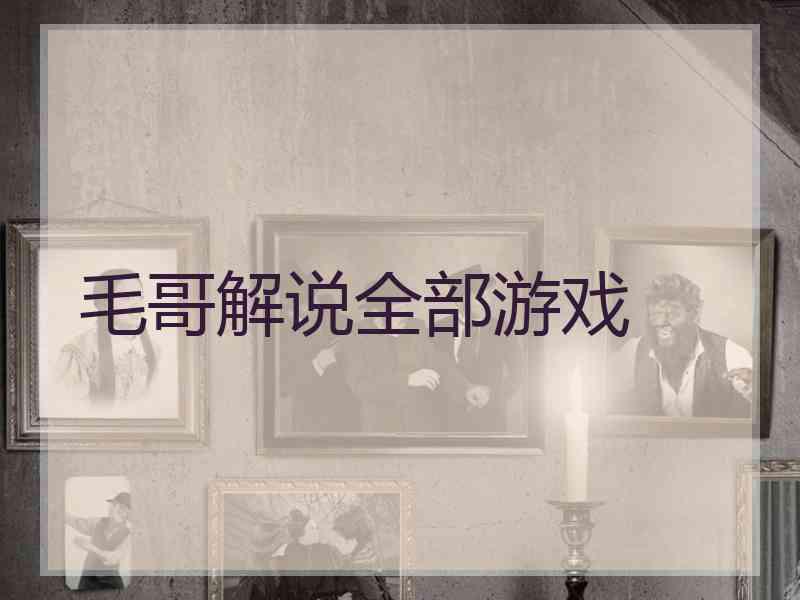 毛哥解说全部游戏