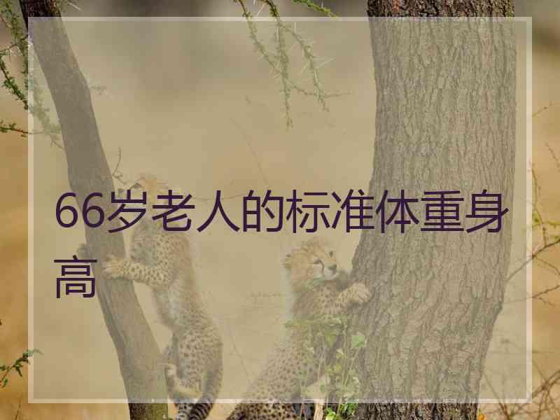 66岁老人的标准体重身高