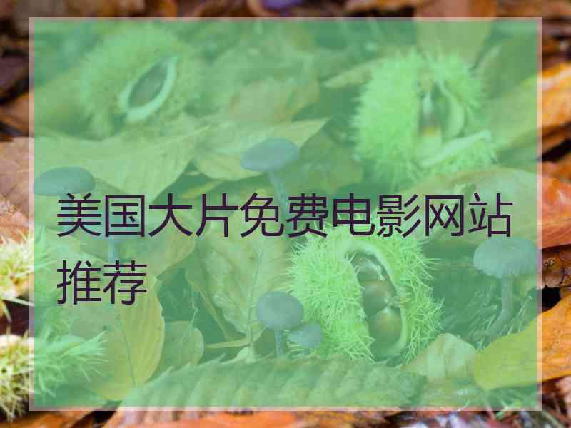 美国大片免费电影网站推荐