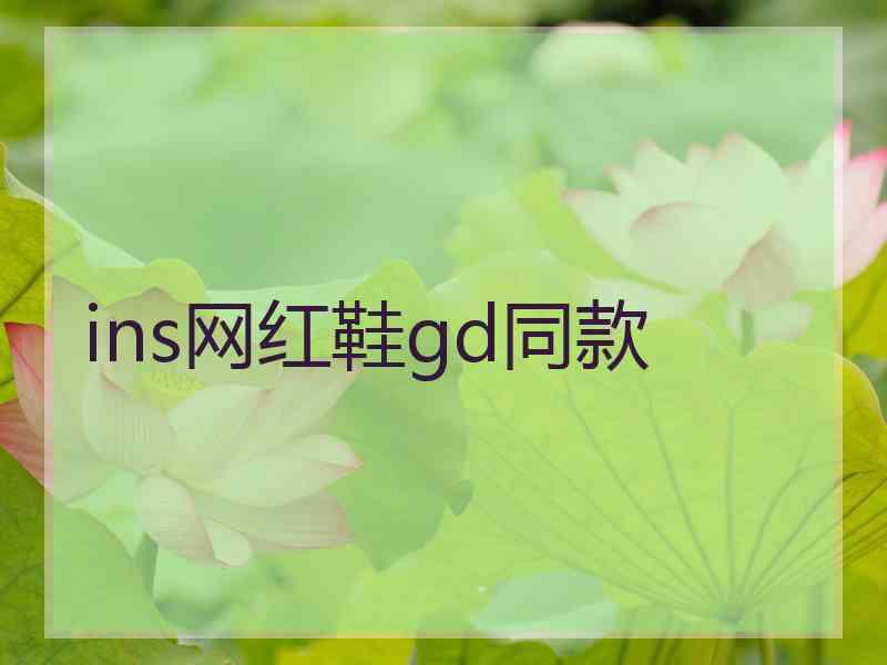 ins网红鞋gd同款