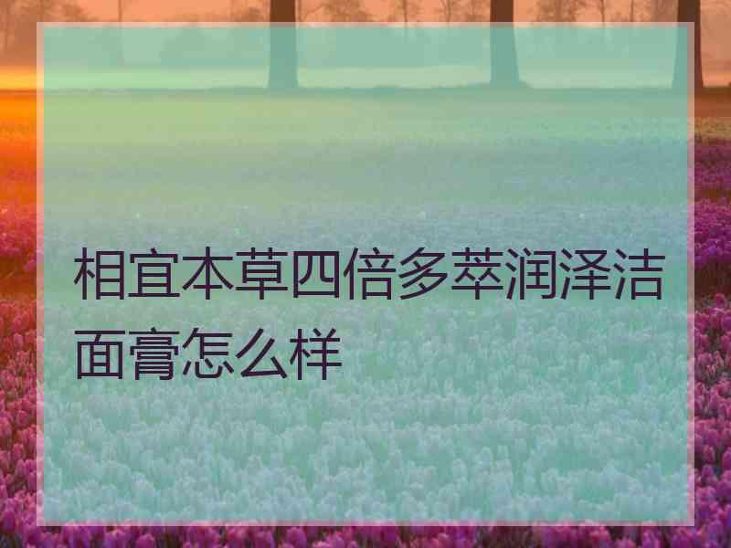 相宜本草四倍多萃润泽洁面膏怎么样