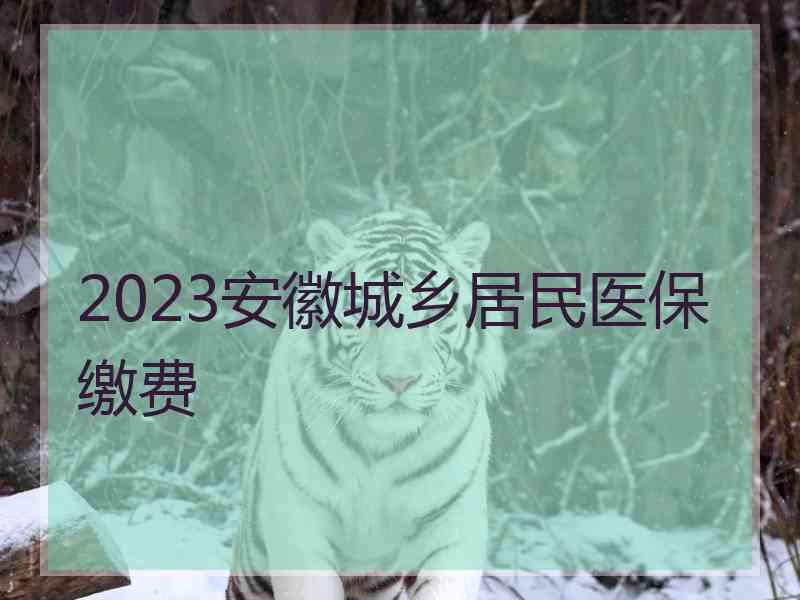 2023安徽城乡居民医保缴费