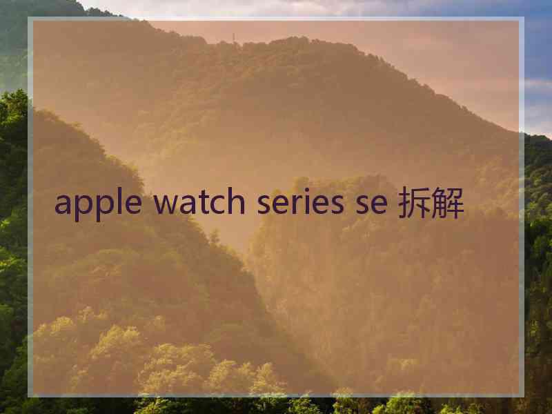 apple watch series se 拆解