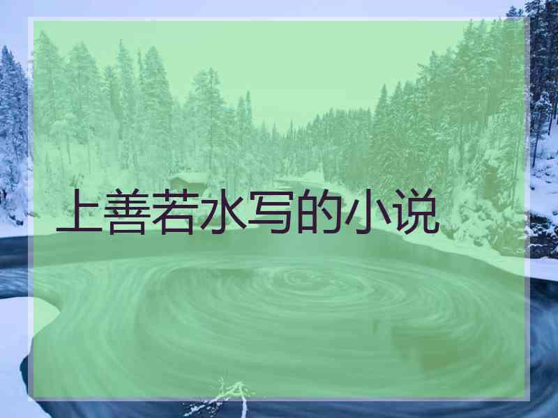 上善若水写的小说