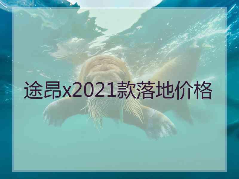 途昂x2021款落地价格