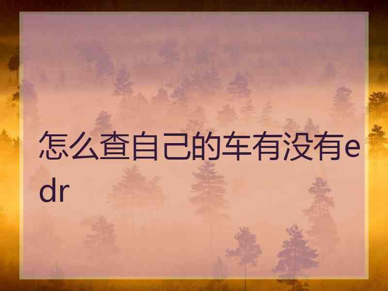 怎么查自己的车有没有edr