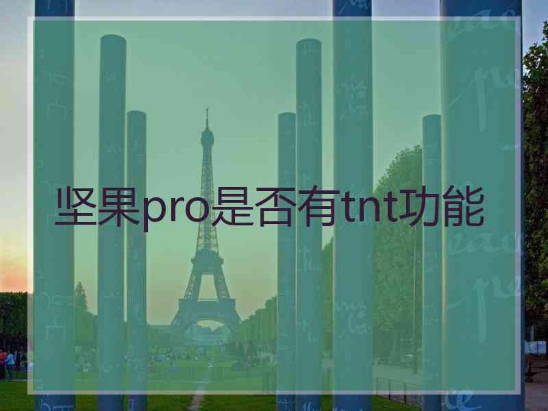 坚果pro是否有tnt功能