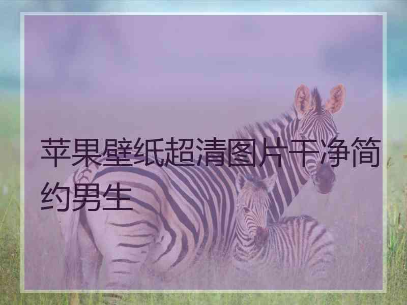 苹果壁纸超清图片干净简约男生