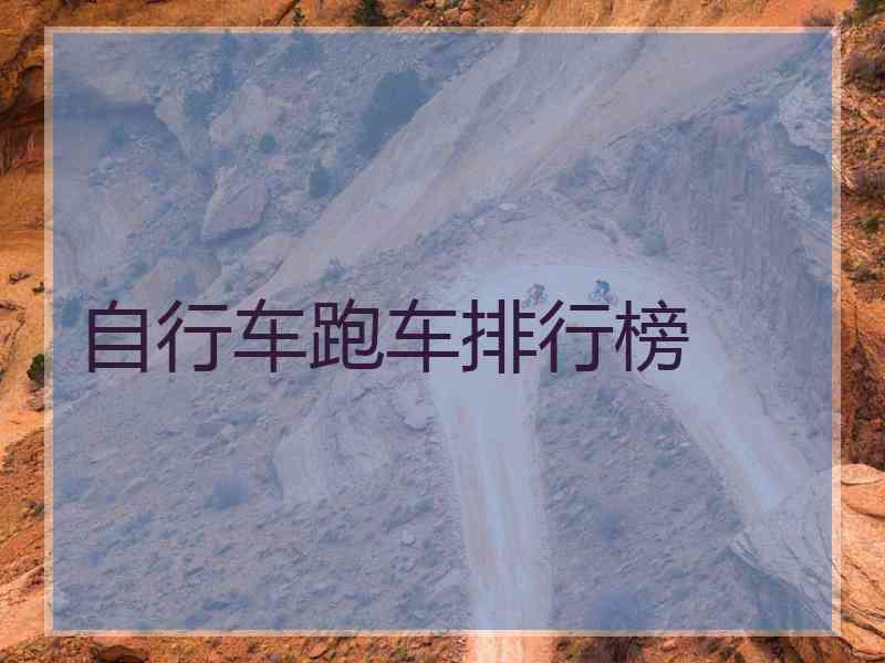 自行车跑车排行榜