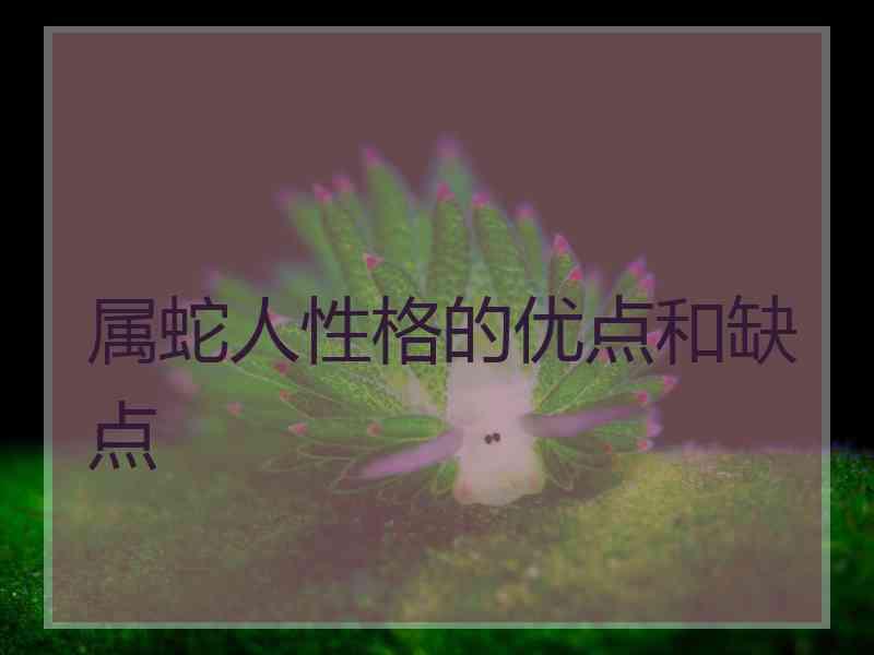 属蛇人性格的优点和缺点