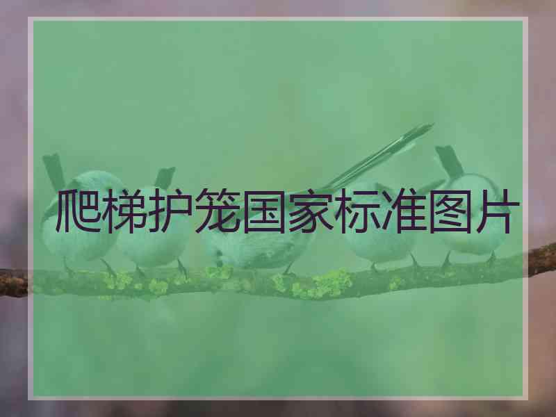 爬梯护笼国家标准图片