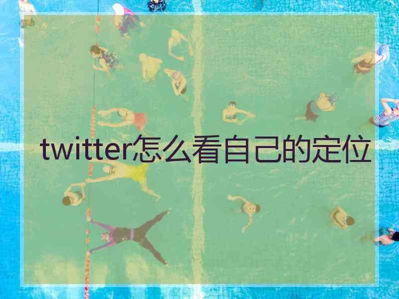 twitter怎么看自己的定位