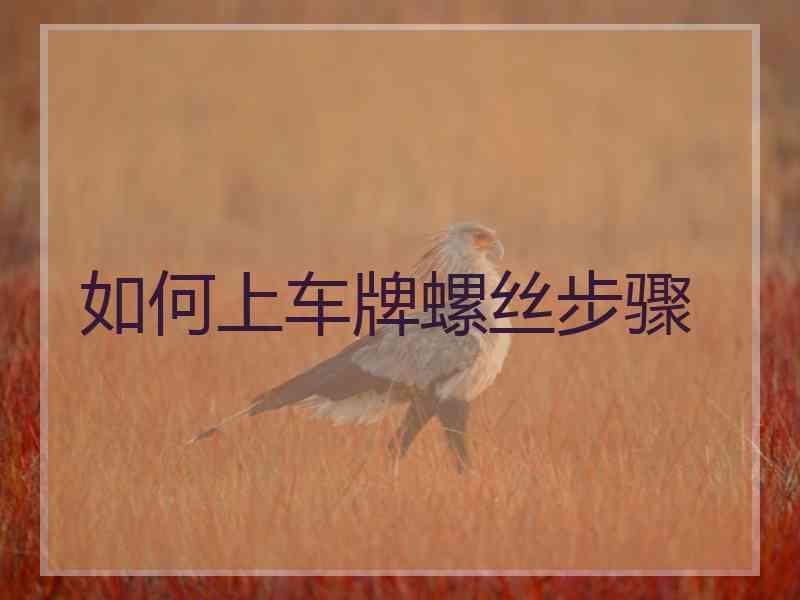 如何上车牌螺丝步骤