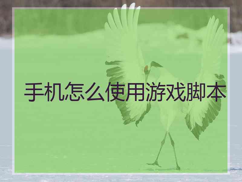 手机怎么使用游戏脚本